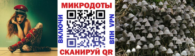 мега ONION  Поронайск  площадка Telegram  Псилоцибиновые грибы мицелий 
